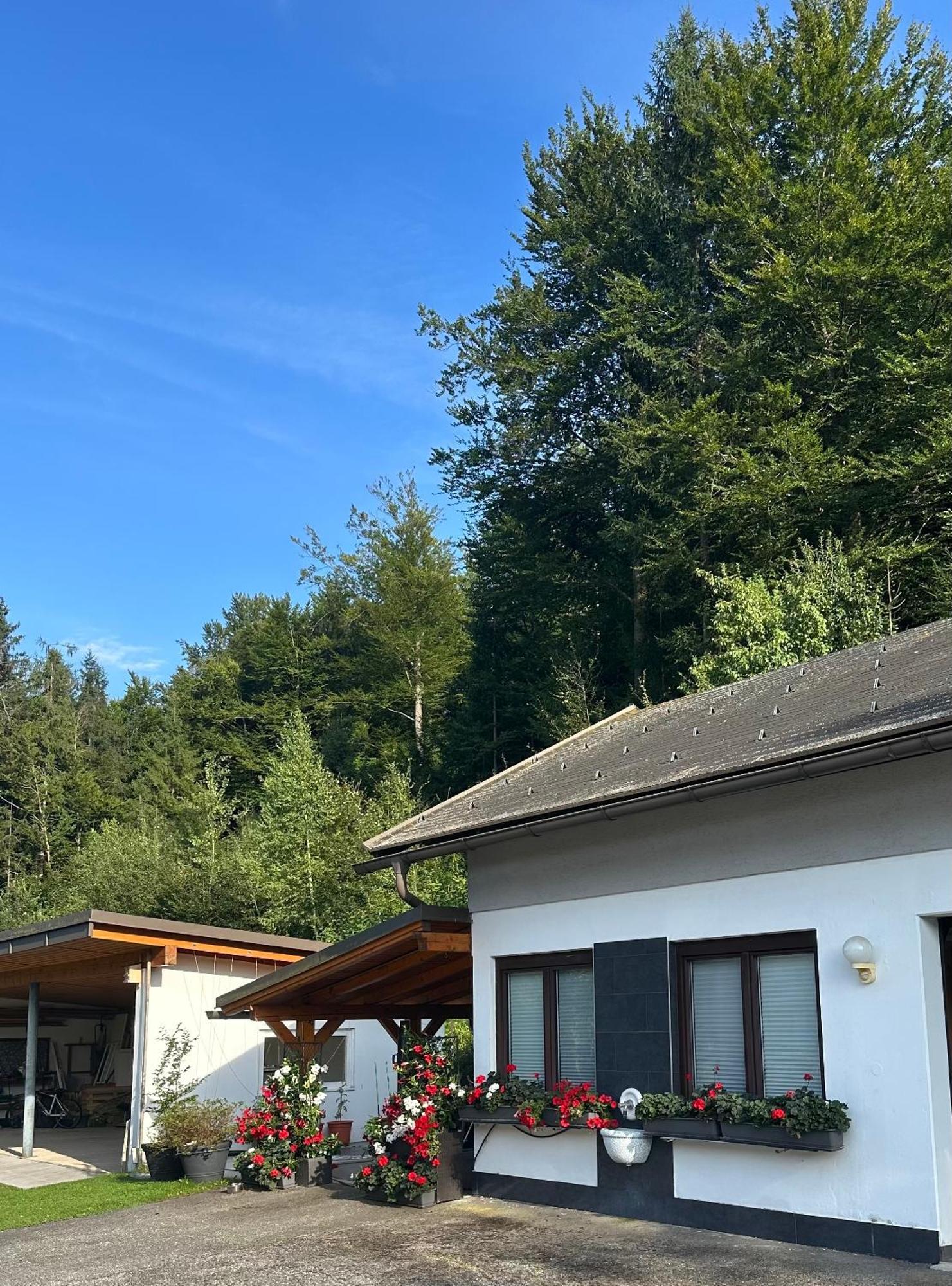 Ferienwohnung Waldblick, Faaker See Oberaichwald  Ngoại thất bức ảnh